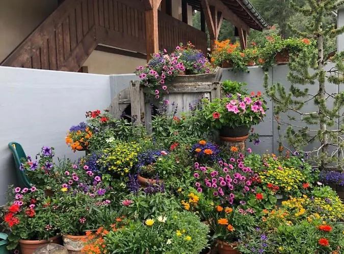 Residenz La Mora Apartment *